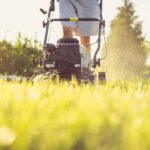 10 best lawn mowing professionals in melbourne
