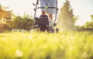 10 best lawn mowing professionals in melbourne